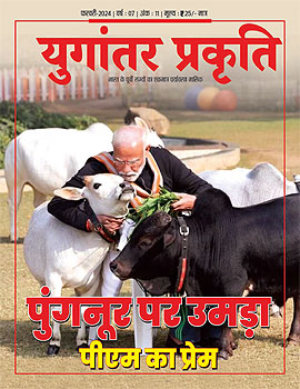 Magazine