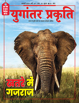 Magazine